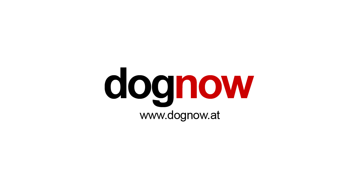 (c) Dognow.at